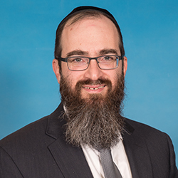 Rabbi Yisroel                            Langer